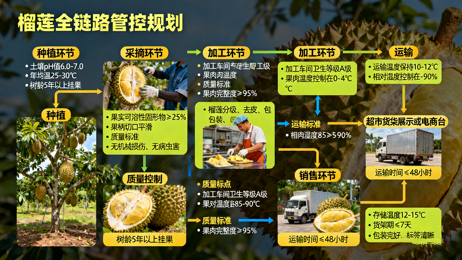 全链路把控